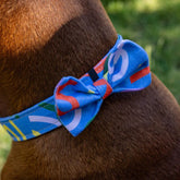 Dancing Leaves Dog Bow Tie by Hiro And Wolf